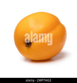Single fresh ripe healthy nectarcot fruit close up isolated on white background Stock Photo