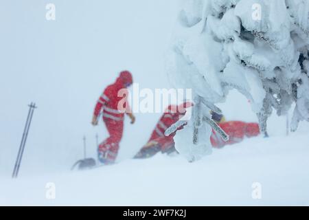 Paramedic team of emergency service helping in mountains in winter during blizzard. Selective focus on snowy tree. Themes rescue in extreme weather. Stock Photo