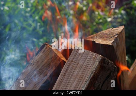 Dry flaming logs in forest bonfire detailed stock photo Stock Photo