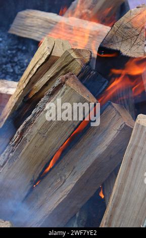 Large chopped oak logs begin to burn in a fire closeup view Stock Photo