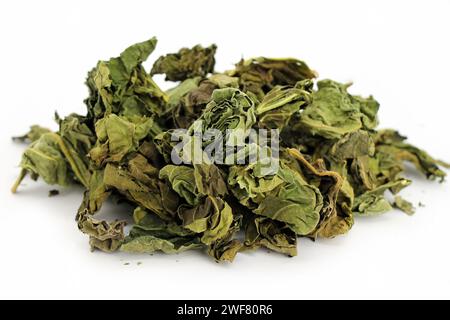 Dried fig leaves on white background. Studio shot. Stock Photo