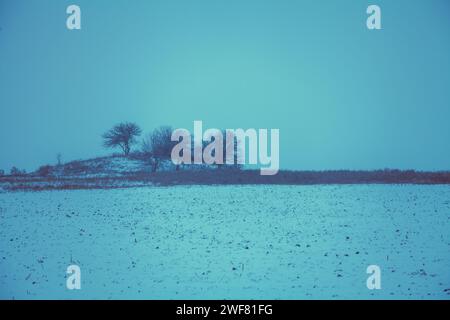 Winter rural landscape during snowfall. View of a field with trees on the horizon. Christmas background. Minimalist landscape Stock Photo