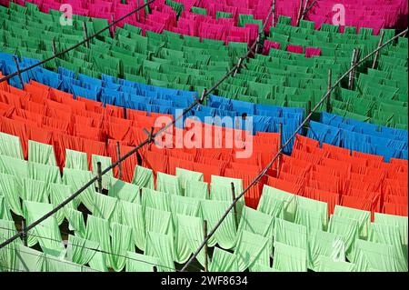 Dhaka, Dhaka, Bangladesh. 28th Jan, 2024. January 29, 2024- NARAYANGANJ- A Bangladeshi worker collects fabric painted after dry them under the sun at a dyeing factory in Narayanganj, near Dhaka capital. Most of the workers suffer skin disease by constant contact with chemicals used to dye the fabric, due to lack of proper precautionary measures. (Credit Image: © Harun-Or-Rashid/ZUMA Press Wire) EDITORIAL USAGE ONLY! Not for Commercial USAGE! Stock Photo