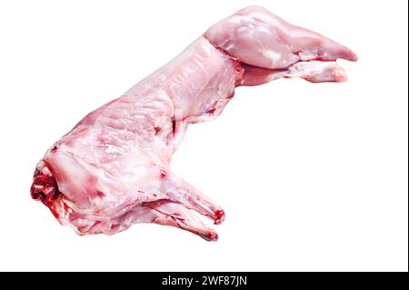 Whole raw rabbit Isolated on white background. Top view Stock Photo
