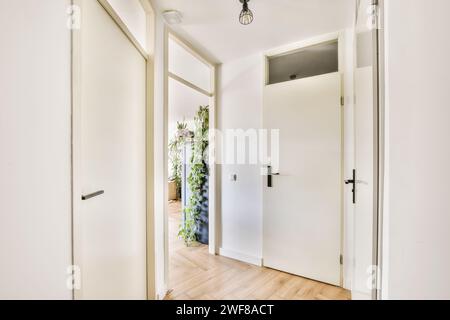 A well-lit, contemporary hallway in a residential home with open white doors leading to different rooms, featuring a wooden floor and indoor plants. Stock Photo