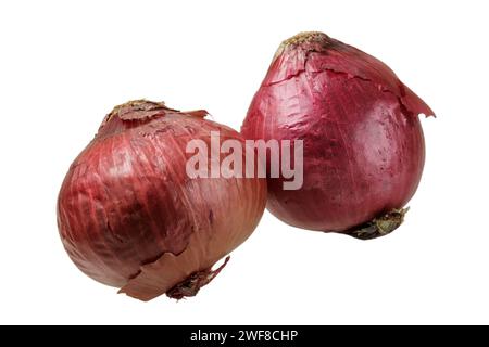 Close up of delicicus unpeeled Red Onions isolated on a white background with copy space Stock Photo