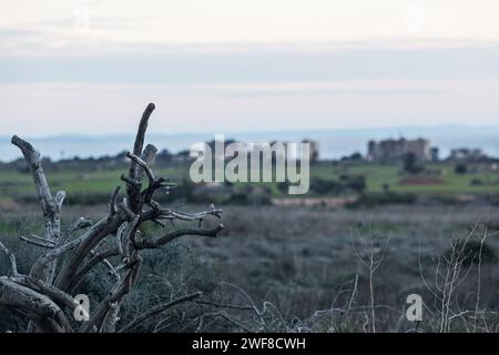 Derynia, Cyprus. 28th Jan, 2024. A commercial outpost is seen