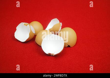 Several chicken egg shells, cracked and broken. on red background Stock Photo