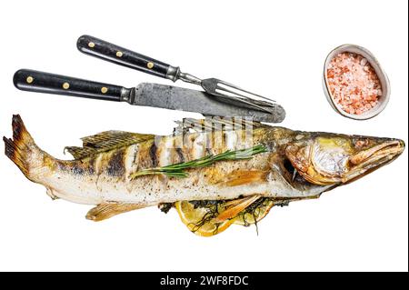 Baked pike perch, pikeperch fish. Isolated on white background. Top view Stock Photo