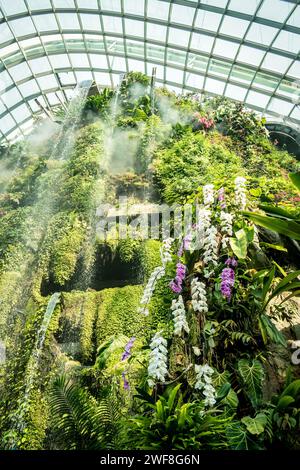 An Indoor Rainforest Garden (Cloud Forest, Gardens by the Bay, Singapore) Stock Photo