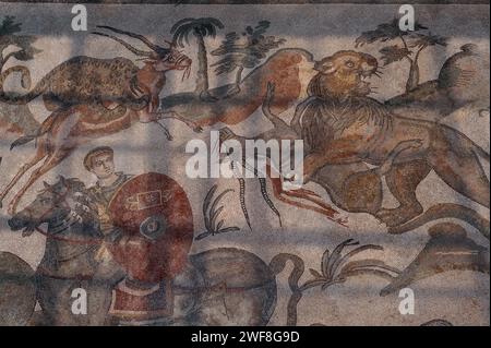 Predators and prey.  Female lion kills antelope (right), leopard catches antelope (upper left), above a hunter with a shield on horseback. Late Roman mosaic in the Corridor of the Great Hunt, Villa Romana del Casale, Piazza Armerina, Sicily, Italy. Stock Photo