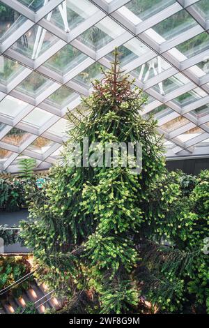 An Indoor Rainforest Garden (Cloud Forest, Gardens by the Bay, Singapore) Stock Photo