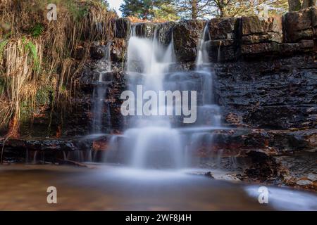 Garden of Eden waterfall, Ashdown Forest, East Sussex, UK Stock Photo