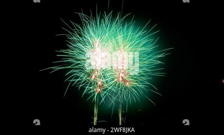 Green firework exploding against a moonlit night sky Stock Photo