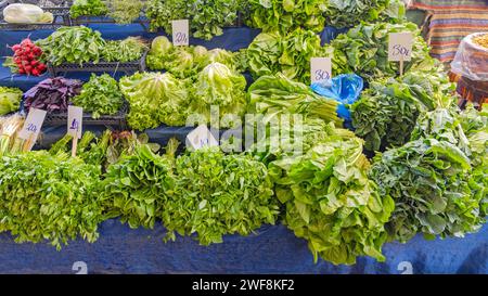 Fresh Mint Parsnip Lettuce Salad Chard Leafy Greens at Farmers Market Stock Photo