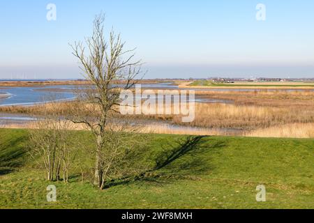 View over the nature reserve Beningerslikken, The Spui and Haringvliet near Zuidland on Voorne-Putten in the southwest of The Netherlands. Stock Photo