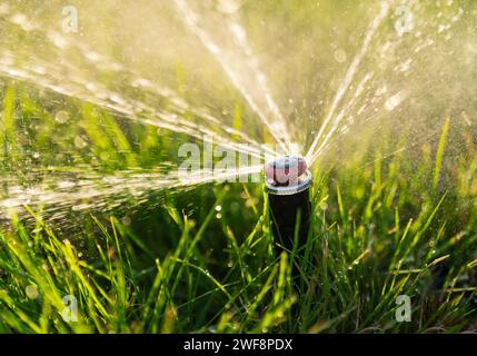 Automatic irrigation system. A close-up of a water sprayer for irrigating a lawn. Stock Photo