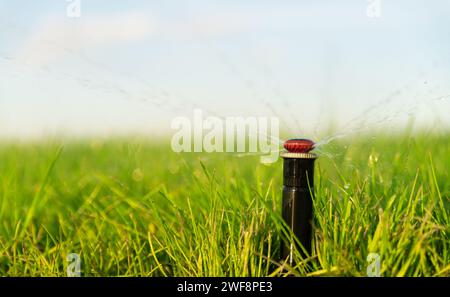 Automatic sprinkler watering the lawn. Irrigation system. Lawn care. Close up. Stock Photo