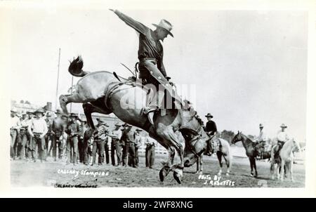 Historique Calgary Stampede photography. Scene of a cowboy riding a ...