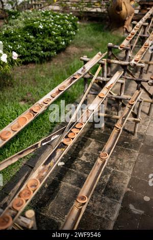 A line of bamboo arranged at Thai temple in front of green grass and bushes. Stock Photo