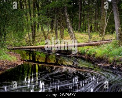 River bend black water in long exposure. Fallen tree and forest. No people Stock Photo