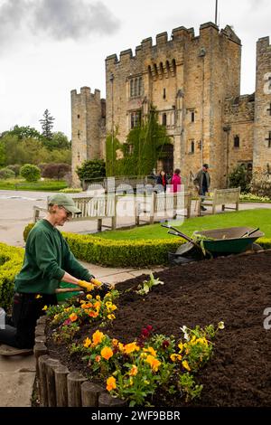 UK, England Kent, Hever, Hever Castle, worker tending flower bed Stock Photo