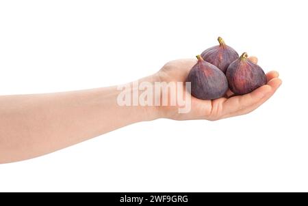 figs in hand path isolated on white Stock Photo