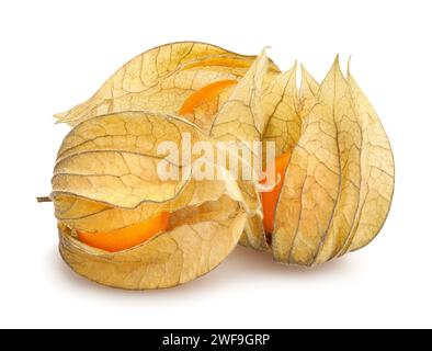 physalis path isolated on white Stock Photo