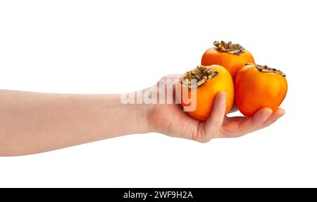 persimmon in hand path isolated on white Stock Photo