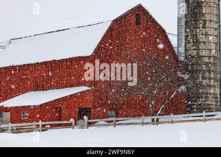 Amish farm with traditional red barn and silo during winter snowstorm in Mecosta County, Michigan, USA [No property release; editorial licensing only] Stock Photo