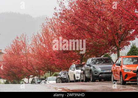 autumn walk in the rain, Segura, Idiazabal, Gipuzkoa, Basque country, Spain Stock Photo