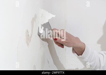 Saltpeter on the wall problem. Woman is using a scraper to scrape and remove all loose paint and plaster that is in poor condition, until a firm surfa Stock Photo