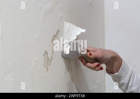 Saltpeter on the wall problem. Woman is using a scraper to scrape and remove all loose paint and plaster that is in poor condition, until a firm surfa Stock Photo