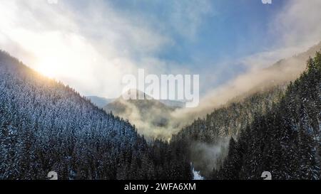 Aerial view of misty winter forest and scenic sunset in Low Tatras mountains of Slovakia. Snowy cliffs with fog and mist over dark pine trees, beautiful vibrant sunshine with sunrays on horizon Stock Photo