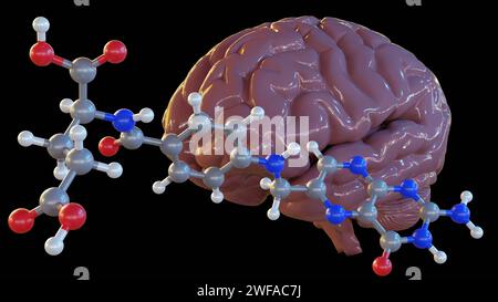Folasi Folic acid, folate molecule. It is known as vitamin B9. Molecular model ...