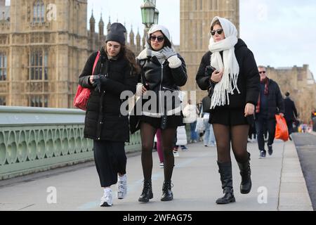 London, UK. 22nd Jan, 2024. Tourists walk on Westminster Bridge in London on a windy day in the capital. (Credit Image: © Steve Taylor/SOPA Images via ZUMA Press Wire) EDITORIAL USAGE ONLY! Not for Commercial USAGE! Stock Photo