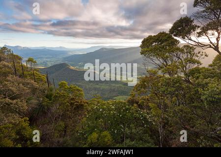 In Lamington National Park. View of Limpinwood Nature Reserve and Mt Warning, Wollumbin National Park. Byron Hinterland in NSW Australia Stock Photo