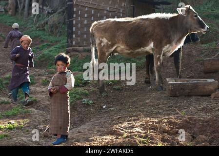 Bhutanese farm life Stock Photo