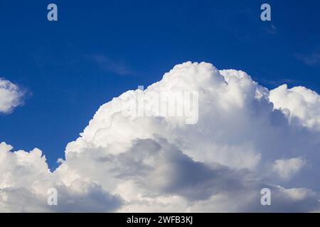 Huge fluffy cumulus cloud on blue sky. Formation before thunderstorm. Copy space Stock Photo