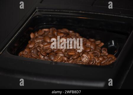 Roasted coffee beans in the machine before the direct grinding process for a delicious coffee enjoyment Stock Photo