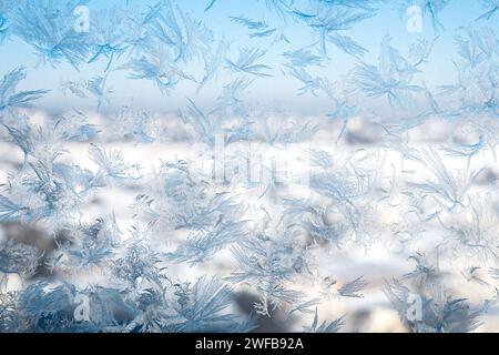 Close-up view of intricate frost crystal formations on a glass surface, resembling feathers Stock Photo
