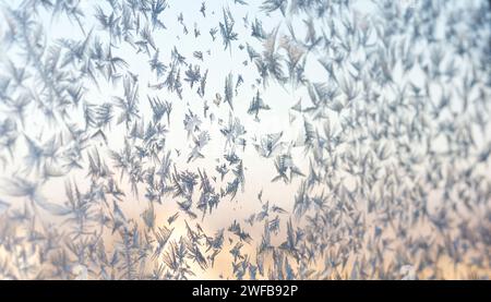 The fading light of sunset casts a warm glow on delicate frost feathers, creating a serene winter scene. Stock Photo