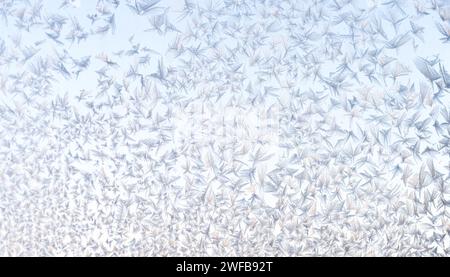 Whispers of frost spread across a window, their intricate patterns highlighted by the soft glow of dawn. Stock Photo
