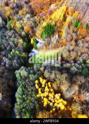 Autumn in forest aerial top view. Mixed forest. Soft light in countryside woodland or park. Drone shoot above colorful green texture in nature Stock Photo