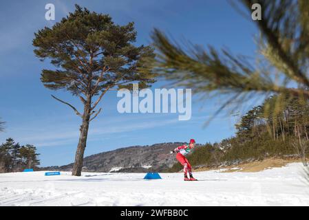 Pyeongchang, South Korea. 30th Jan, 2024. Elias Eischer of Austria competes during the Men's 7.5km Classic of Cross-Country Skiing event at the Gangwon 2024 Winter Youth Olympic Games in Pyeongchang, South Korea, Jan. 30, 2024. Credit: Hu Huhu/Xinhua/Alamy Live News Stock Photo