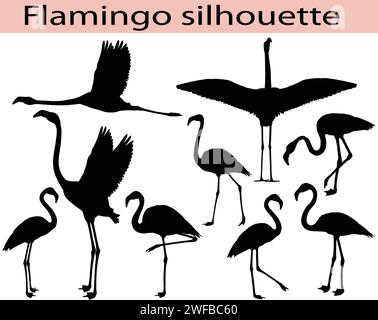 Collection of silhouettes of flamingo birds Stock Vector