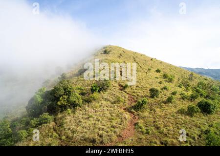 The Brahmagiri Hills are located in the Wayanad District of Kerala and in the Koduk District of Karnataka. Stock Photo