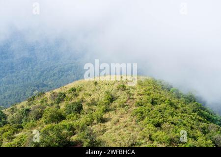 The Brahmagiri Hills are located in the Wayanad District of Kerala and in the Koduk District of Karnataka. Stock Photo