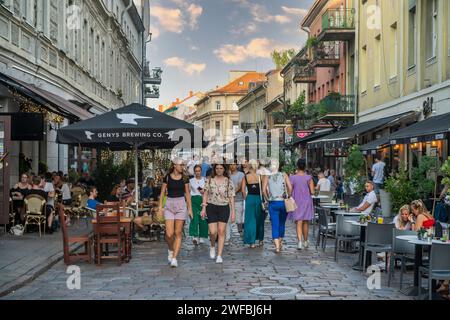 Kaunas, Lithuania: Vilniaus gatvė Stock Photo