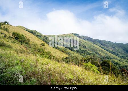 The Brahmagiri Hills are located in the Wayanad District of Kerala and in the Koduk District of Karnataka. Stock Photo